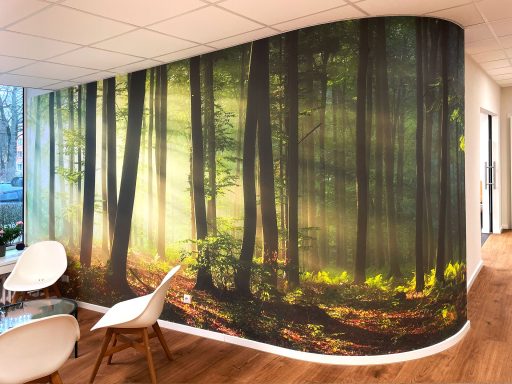 Große, gebogene Trockenbauwand mit Waldmotiv, von Sonnenstrahlen durchflutet. Davor weiße Stühle auf einem Holzfußboden im Wartebereich.